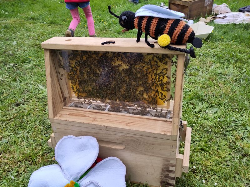 Bienenstock zur Beobachtung